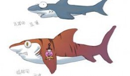 最新非洲雁爆料,非洲大陆最新动态与热点事件