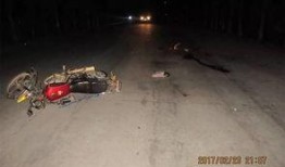 都市爆料肇事案件最新,肇事案件背后真相曝光，正义终将到来