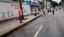 最新湛江市民爆料,最新民生问题引发社会关注