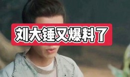 刘大锤爆料名单最新图片,揭秘娱乐圈风云变幻