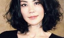 明星爆料歌单大全最新,揭秘偶像私藏音乐清单