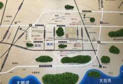 惠州最新消息爆料案件,惊曝重大案件细节披露