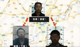 重庆蒋先生爆料案件最新,揭秘背后惊人真相