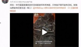王海直播爆料最新消息,最新热点事件深度剖析