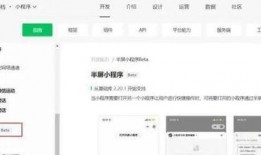 最新全面爆料小程序下载,下载体验与功能解析