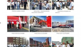 南阳高校最新爆料