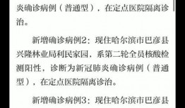 黑龙江新增病例最新爆料,最新疫情动态解析