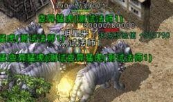 暗黑爆料最新视频更新版,神秘事件背后真相揭晓