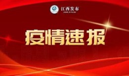十周年最新爆料新闻视频,揭秘十周年最新爆料背后的震撼瞬间