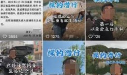 宇哥爆料视频大全最新一期,揭秘娱乐圈幕后真相