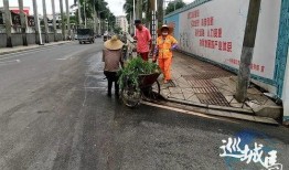 最新湛江市民爆料,最新民生问题引发社会关注