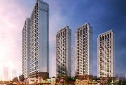 中海爆料最新消息今天视频