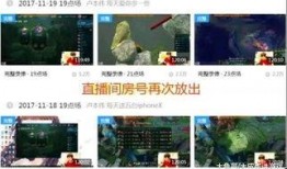 房东爆料直播视频大全最新,最新视频大全深度解析