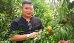 砀山最新吃瓜爆料新闻视频,视频揭秘惊人内幕！