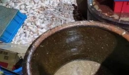 黑作坊炸鸡最新爆料,食品安全问题触目惊心