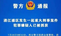 南宁龙岗命案最新爆料新闻,疑点重重，案情再掀波澜