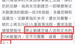 爆料婆婆最新章节目录,揭秘婆媳关系的微妙平衡与智慧较量