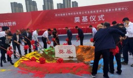 郑州物流港爆料最新消息,揭秘区域物流枢纽新进展