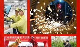 最新老鼠爆料新闻联播视频,新闻联播背后惊人真相