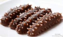 烟台海参爆料视频最新一期,揭秘海参行业潜规则，最新一期视频深度解析