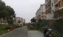 施湾镇房价最新爆料,涨幅惊人，投资潜力无限！