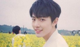 杨紫和肖战最新爆料2025,揭秘娱乐圈幕后风云