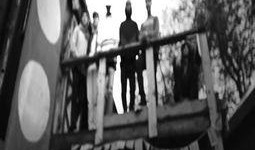 美国最新who爆料