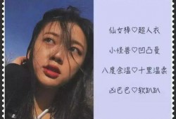 网名最新爆料大全,网名最新爆料大全深度解析