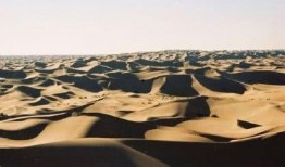 最新沙漠爆料新闻事件是什么,最新沙漠爆料揭秘