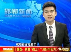 魏县最新爆料新闻视频,视频揭露惊人真相，引网友热议！