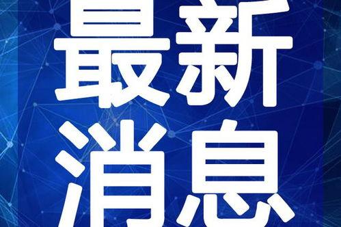 越南网友爆料视频大全最新,揭秘真实生活瞬间