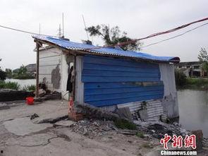 长春养猪场爆料案件最新,揭开养殖行业黑幕背后的惊人真相