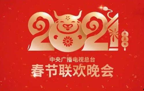 春节爆料视频大全集最新,精彩瞬间回顾，年度盛宴精彩重现