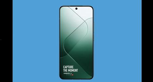 小米15标准版最新爆料,性能升级，设计革新，揭秘最新旗舰亮点