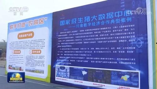 内江今天爆料新闻最新,今日最新爆料事件，真相即将揭晓！