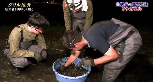 牛哥最新爆料新闻