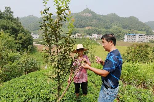 竹山农香最新爆料,带你走进神秘农产品世界